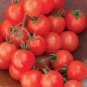 10 Pcs Sweetie Tomato Cherry Fruit Seeds
