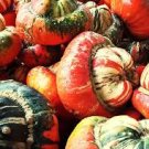 30 Pcs Edible Large Orange Pumpkin with Green Stripe Seeds