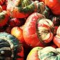30 Pcs Edible Large Orange Pumpkin with Green Stripe Seeds