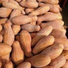 50 Pcs Chinese Miben Pumpkin Seeds