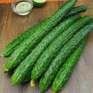 60 Pcs Time-Honored Greens: 'Jinyan No.4' Thorny Cucumber Seed Marvels 60 Pcs Time-Honored Greens: 'Jinyan No.4' Thorny Cucumber Seed Marvels