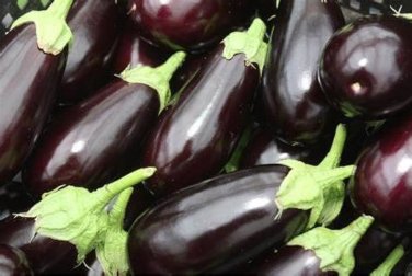 200 Pcs Black Beauty Eggplant Seeds