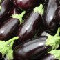 200 Pcs Black Beauty Eggplant Seeds