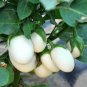 100 Pcs Cultivate Charm: 'White Baby' Round Eggplant Seeds