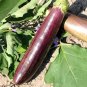 300 Pcs Bamboo Silk Marvel: Flowering Eggplant Seeds from Sichuan