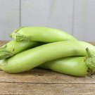 100 Pcs Elevate Your Garden with Emerald Long Eggplant Seeds 100 Pcs Elevate Your Garden with Emerald Long Eggplant Seeds