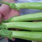 100 Pcs Elevate Your Garden with Emerald Long Eggplant Seeds
