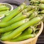 100 Pcs Elevate Your Garden with Emerald Long Eggplant Seeds