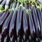 400 Pcs Shiny Black Beauty: Thick and Tender Long Eggplant Seeds