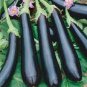 400 Pcs Shiny Black Beauty: Thick and Tender Long Eggplant Seeds
