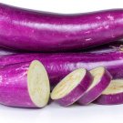 400 Pcs Spring-Summer Eggplant Seeds: Thick-Fleshed, Purple-Red Variety 400 Pcs Spring-Summer Eggplant Seeds: Thick-Fleshed, Purple-Red Variety