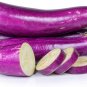 400 Pcs Spring-Summer Eggplant Seeds: Thick-Fleshed, Purple-Red Variety