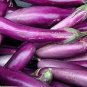 400 Pcs Spring-Summer Eggplant Seeds: Thick-Fleshed, Purple-Red Variety