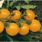 300 Pcs Tomato Yellow 'Golden Peach' Sweet Fruit Seeds