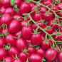 100 Pcs Tomato Cherry 'Rose Red Grape' Fruit Seeds