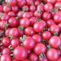 100 Pcs Tomato Cherry 'Rose Red Grape' Fruit Seeds
