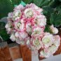 10 Pcs Geranium White Red Ball Type Flower Seeds