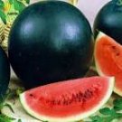 20 Pcs Big Black Skin Red Seedless Watermelon Organic Seeds 20 Pcs Big Black Skin Red Seedless Watermelon Organic Seeds