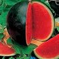20 Pcs Big Black Skin Red Seedless Watermelon Organic Seeds