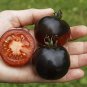 200 Pcs Big Black Tomato F1 Seeds