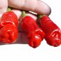 30 Pcs Peter Pepper Hot Sexy Chili Garden Heirloom True Seeds