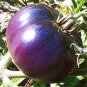 100 Pcs Tomato Giant Purple Fruit Seeds