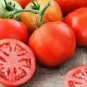 300 Pcs Tomato Red 'flat peach' Fruit Vegetable Seeds