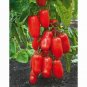 300 Pcs Tomato American Imported Long Pink Fruit Vegetable Seeds
