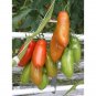 300 Pcs Tomato American Imported Long Pink Fruit Vegetable Seeds