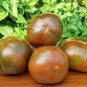 300 Pcs Tomato Coffee Color with Brown Stripes 'Zicai' Vegetable Seeds