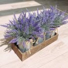 15 Pcs Lavender Potted Plants