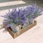 15 Pcs Lavender Potted Plants