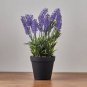 15 Pcs Lavender Potted Plants