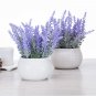 15 Pcs Lavender Potted Plants