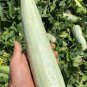20 Pcs Rare Chinese Sweet Melon Seeds