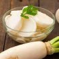 800 Pcs small fruit Radish Seeds