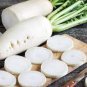 800 Pcs small fruit Radish Seeds