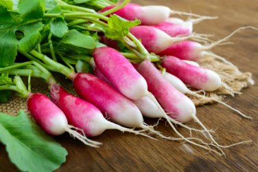 800 Pcs big Radish Seeds | Red White Long Radishes Vegetable Seed