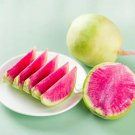 400 Pcs Watermelon Radish Seeds, NON-GMO, Chinese Heirloom 400 Pcs Watermelon Radish Seeds, NON-GMO, Chinese Heirloom