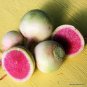 400 Pcs Watermelon Radish Seeds, NON-GMO, Chinese Heirloom