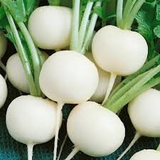 700 Pcs Hailstone White Globe Radish Seeds