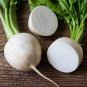 700 Pcs Hailstone White Globe Radish Seeds