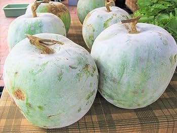 100 Pcs Wax Gourd Seeds White Ash Gourd Winter Melon Dong Gua