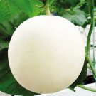 200 Pcs White Muskmelon Seeds Sugar Jar Melon Delicious Fruit Garden Seeds
