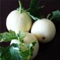 200 Pcs White Muskmelon Seeds Sugar Jar Melon Delicious Fruit Garden Seeds