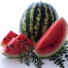 25 Pcs Watermelon Seeds | Organic Fruit Watermelon