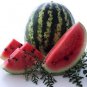 25 Pcs Watermelon Seeds | Organic Fruit Watermelon