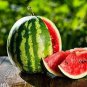25 Pcs Watermelon Seeds | Organic Fruit Watermelon