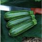 25 Pcs Summer Zucchini Squash Seeds
