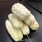 20 Pcs Momordica White Balsam Pear Organic Vegetables
